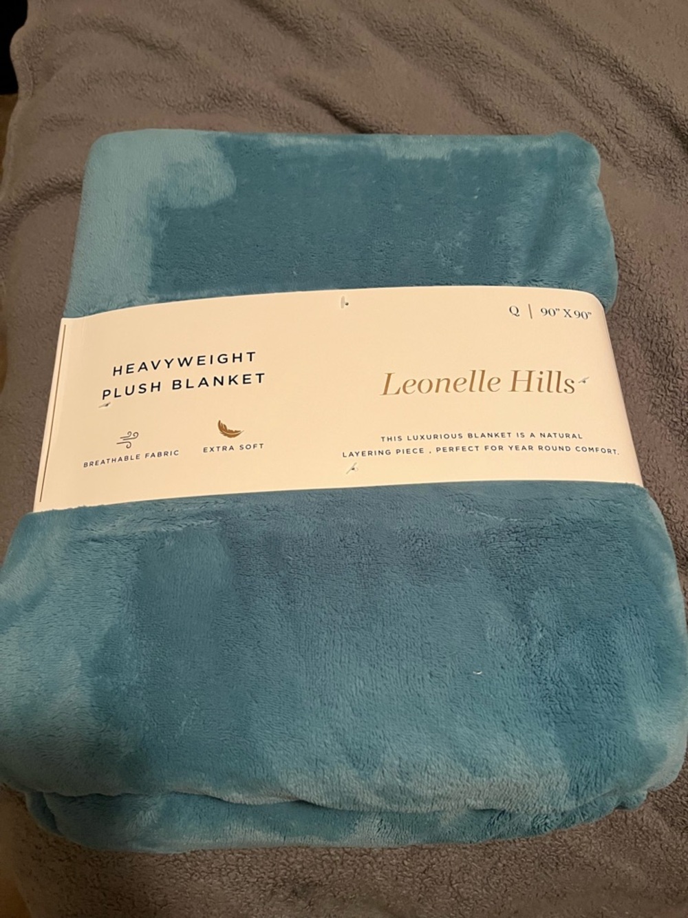 Plush Heavyweight Blanket in Teal